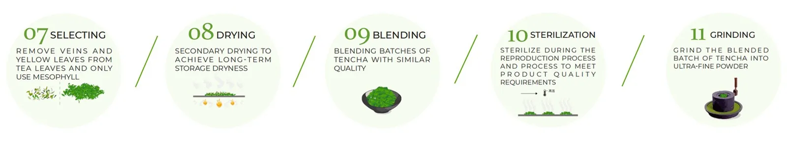 Matcha flow chart-3 Matcha flow chart-3